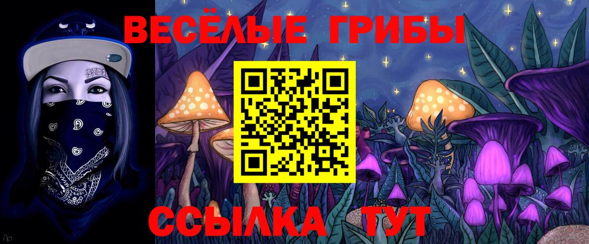 Галлюциногенные грибы мицелий  Галлюциногенные грибы мухоморы  цены наркотик  Вход с VPN  Нижневартовск 
